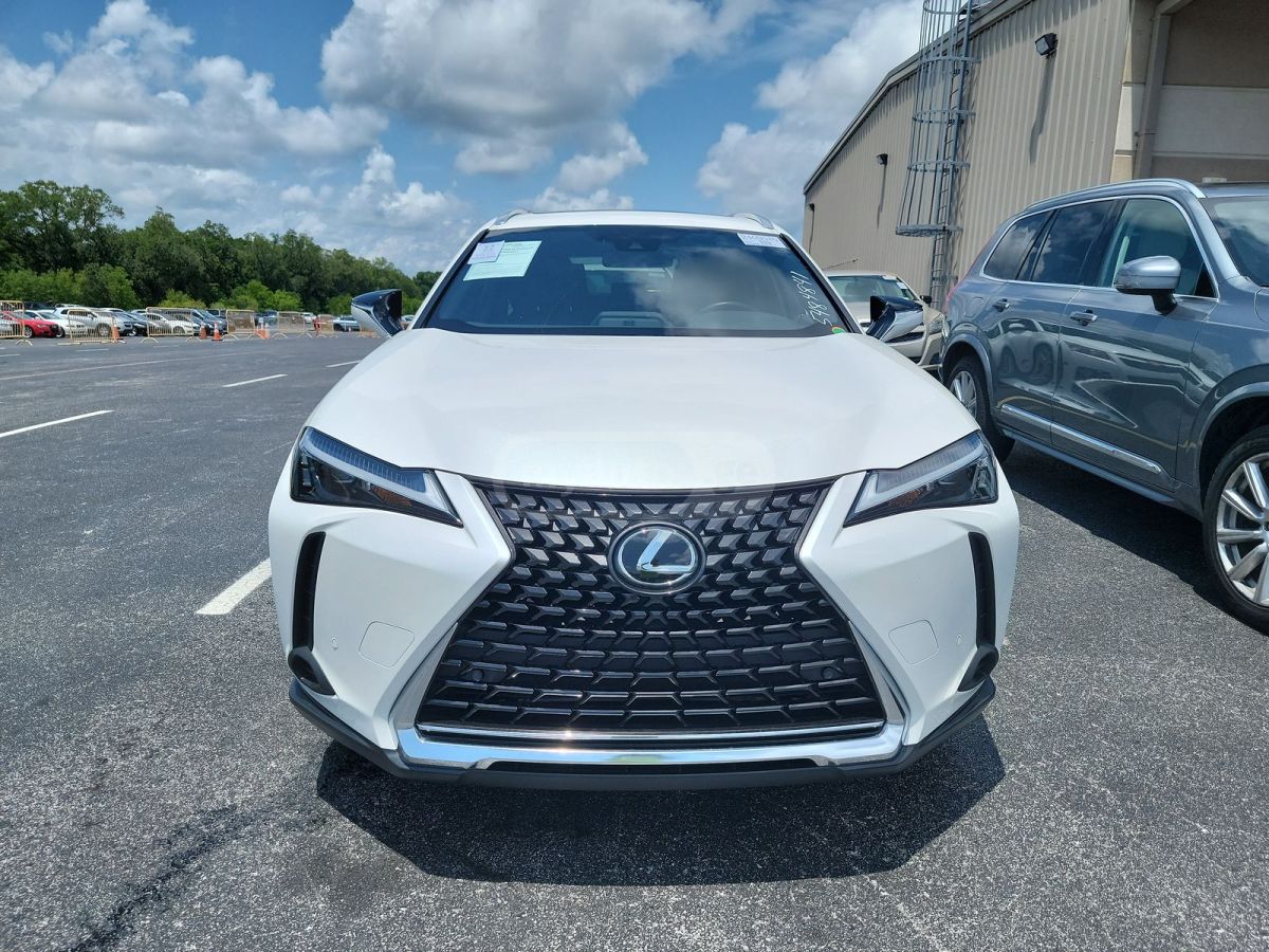 Lexus UX 250 h 2023 — photo 2