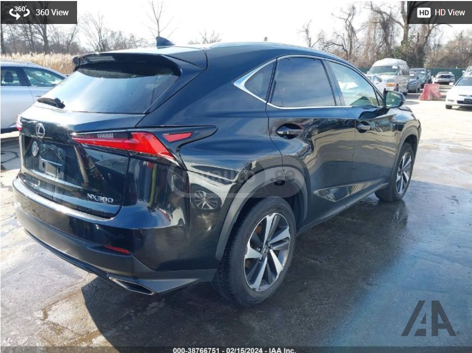 Lexus NX 300 2018 — photo 2
