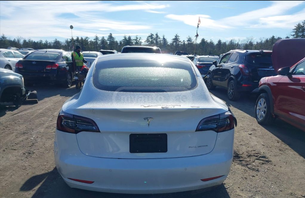 Tesla Model 3 2020 — photo 2