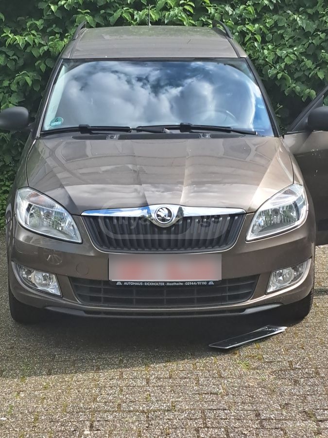 Skoda Roomster 2013 — photo 2
