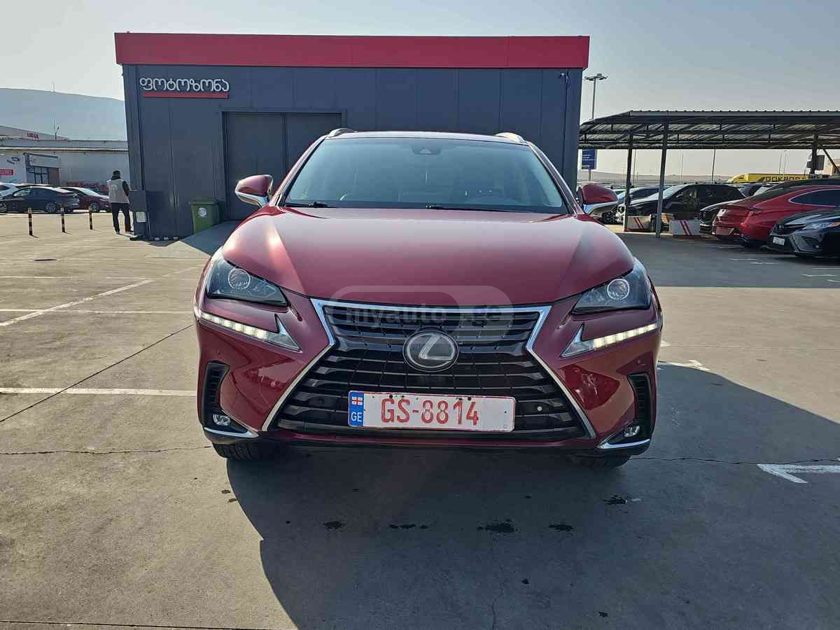 Lexus NX 300 2019 — photo 2