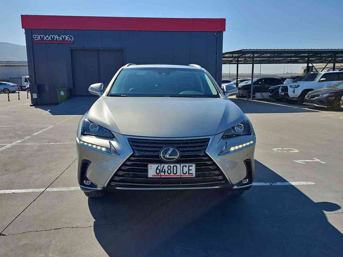 Lexus NX 300 2019 — photo 2