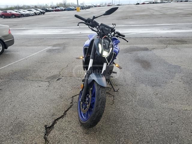 Yamaha MT-07 (FZ-07) 2024 — photo 2