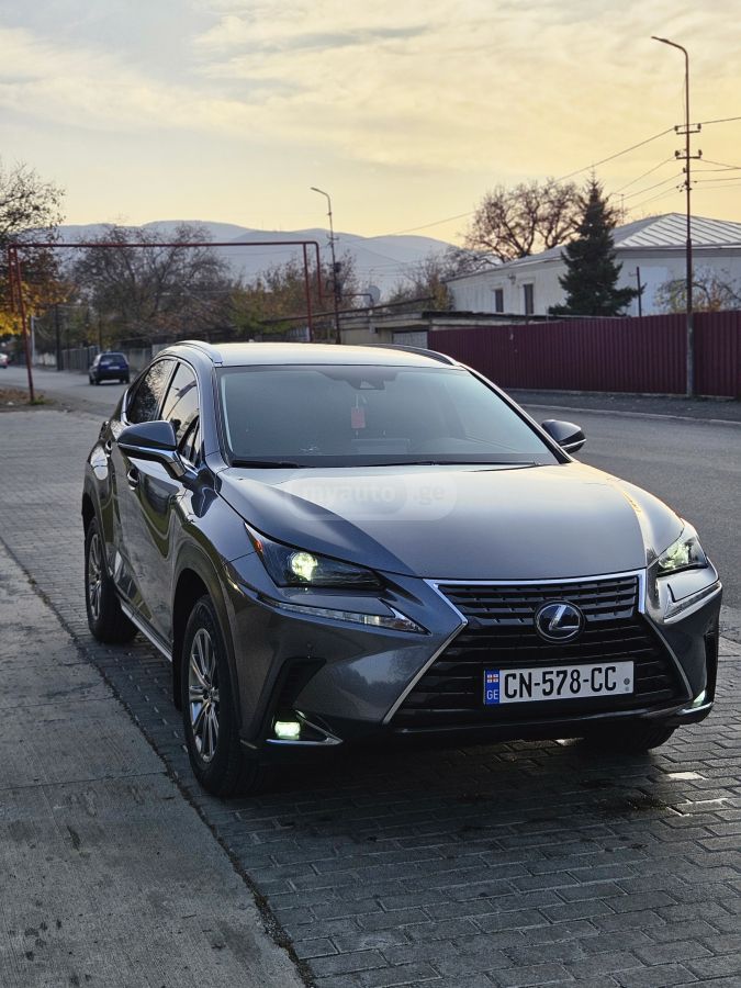 Lexus NX 300 2019 — photo 2