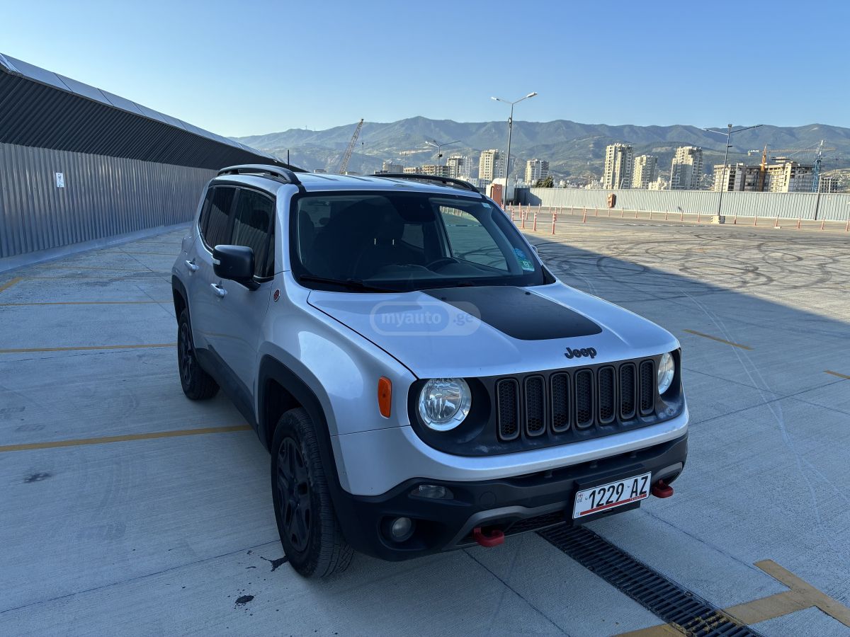 Jeep Renegade 2019 — photo 2