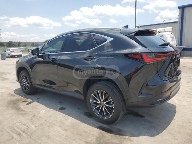 Lexus NX 350 2023 — photo 2