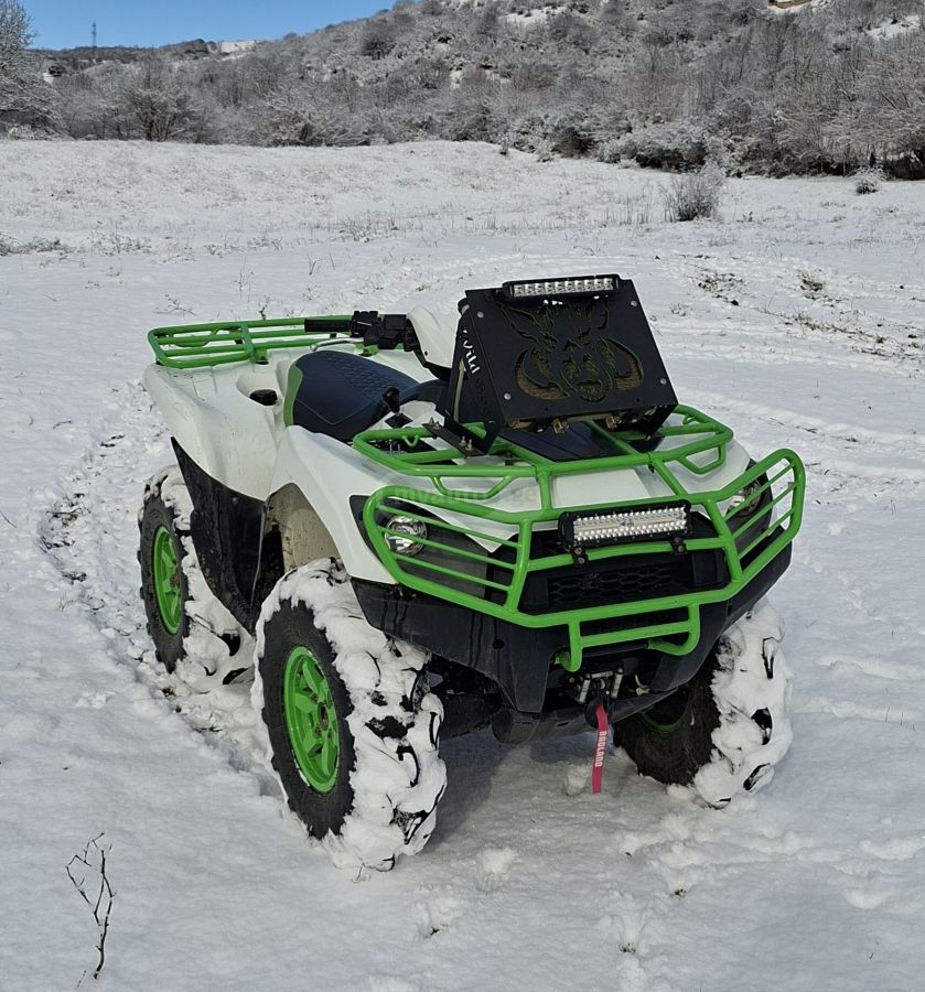 Kawasaki Brute Force 750