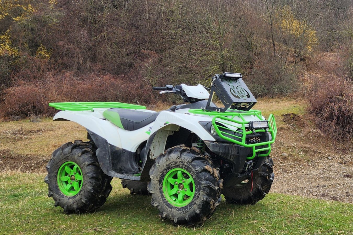 Kawasaki Brute Force 750 2019 — photo 2