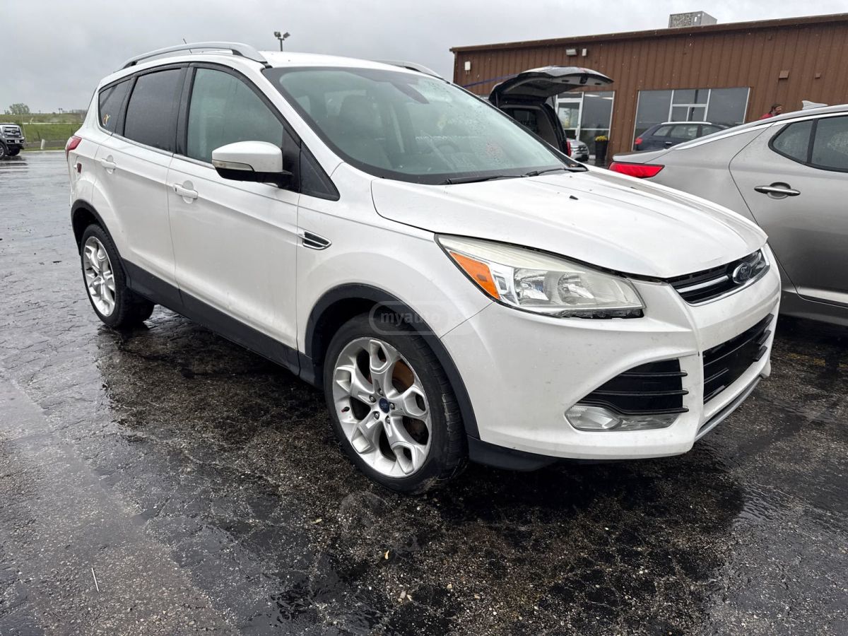 Ford Escape 2014 — photo 2