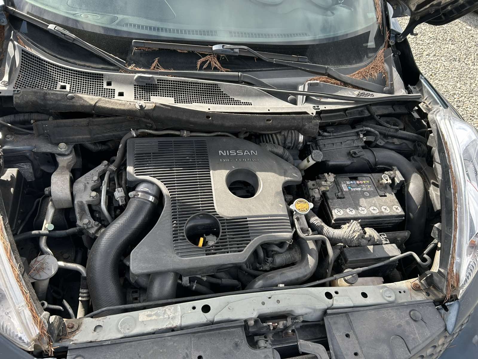 Nissan Juke 2010 — photo 2