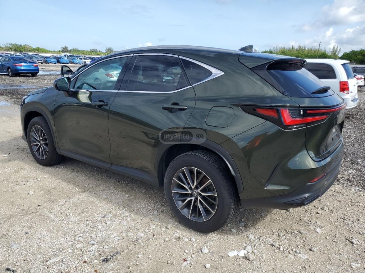 Lexus NX 350 2022 — photo 2