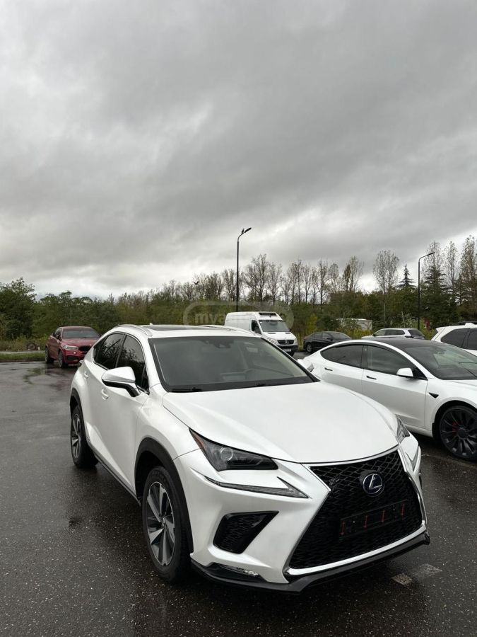 Lexus NX 300 2020 — photo 2