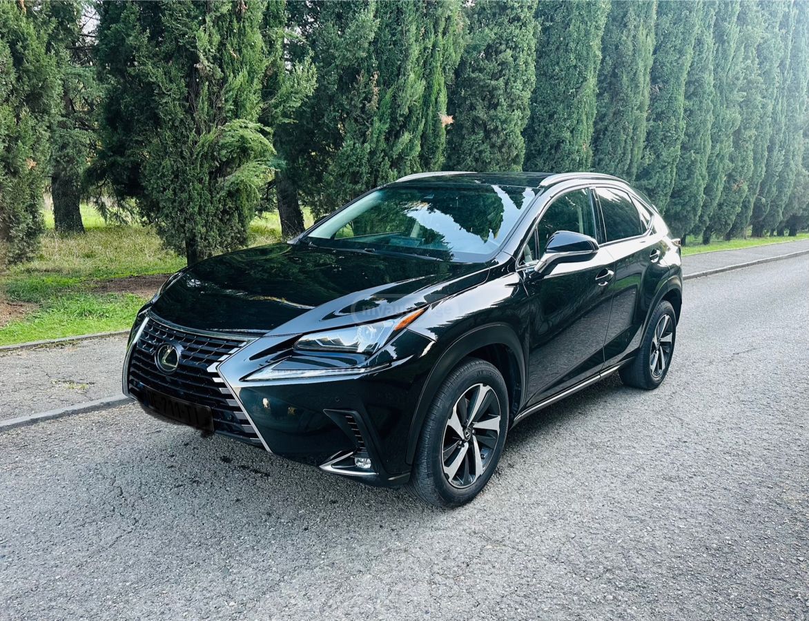 Lexus NX 300 2017 — photo 2