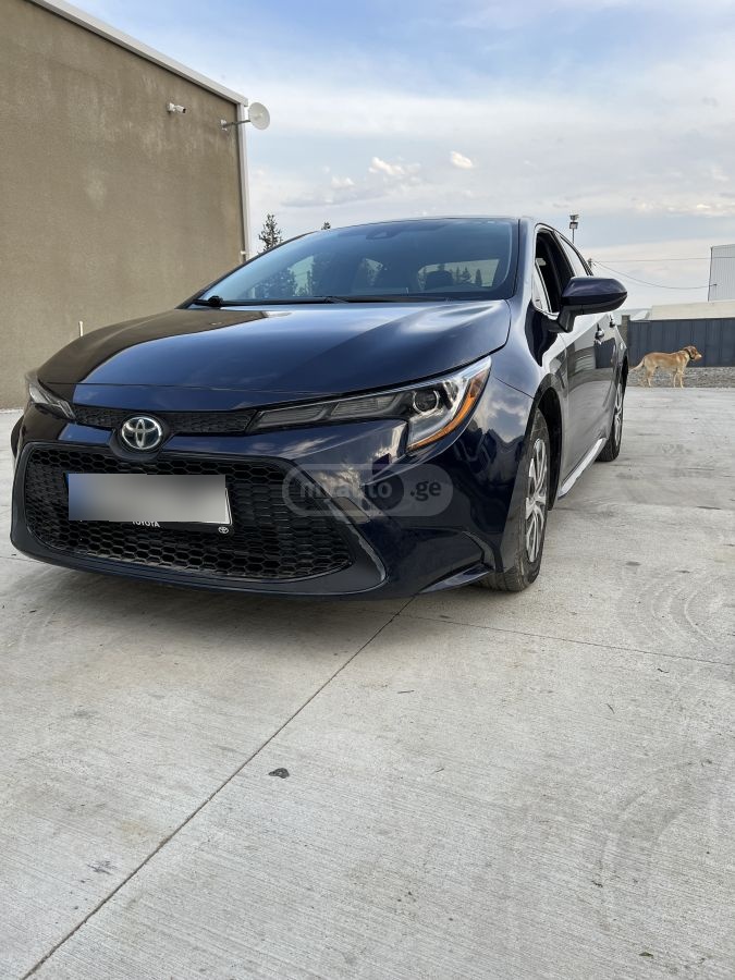 Toyota Corolla 2019 — photo 2