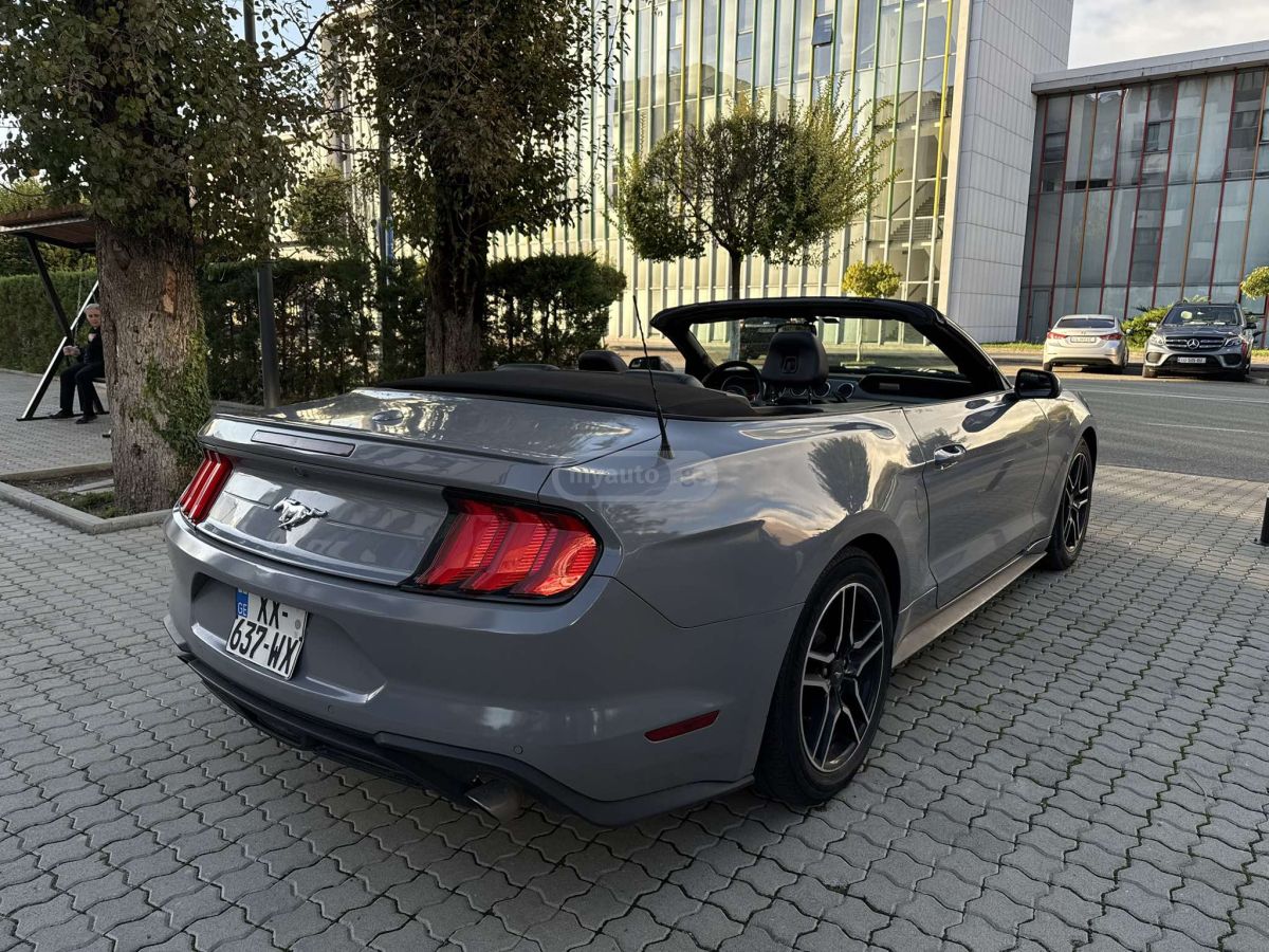 Ford Mustang 2019 — photo 2