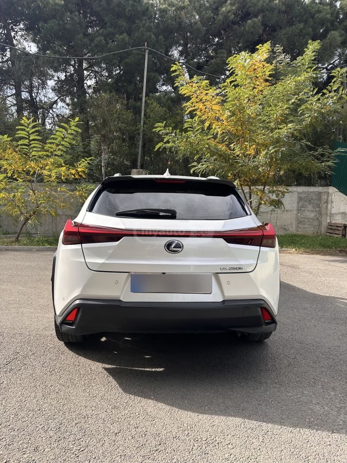 Lexus UX 250 h 2019 — photo 2