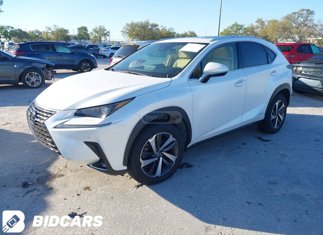 Lexus NX 300 2019 — photo 2