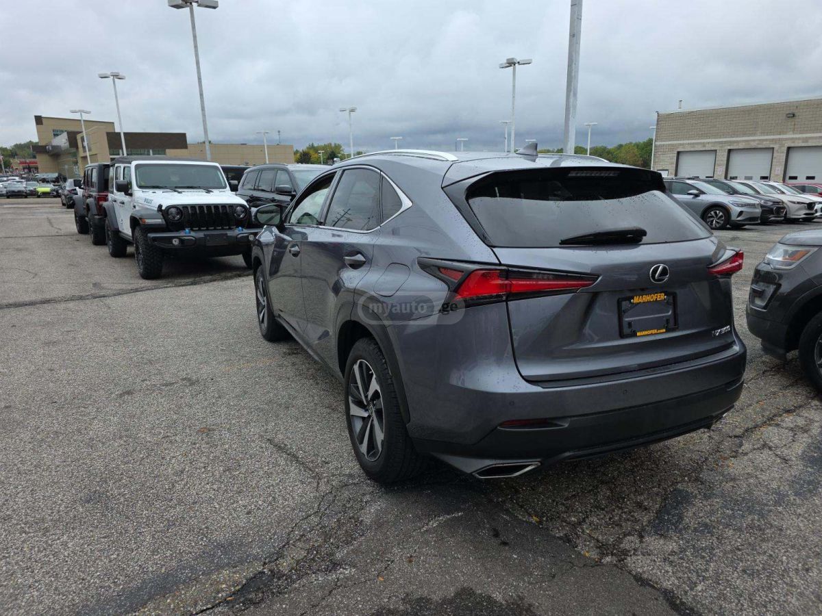 Lexus NX 300 2019 — photo 2