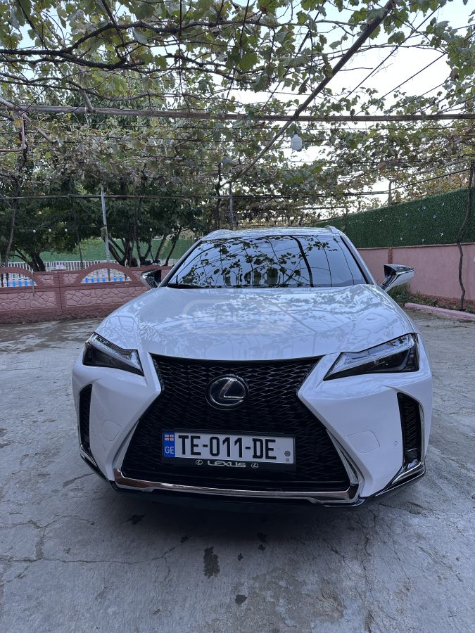 Lexus UX 250 h 2021 — photo 2