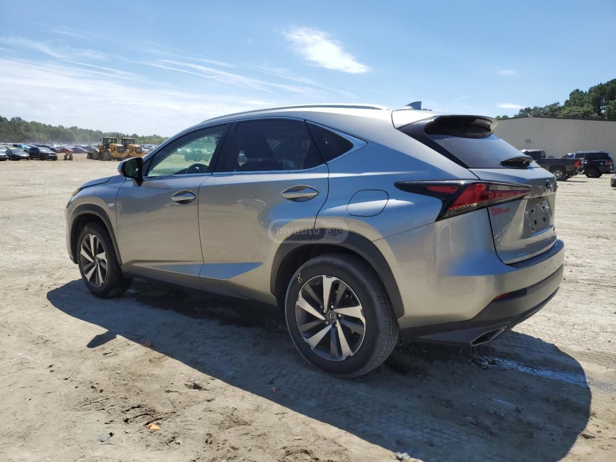 Lexus NX 300 2020 — photo 2