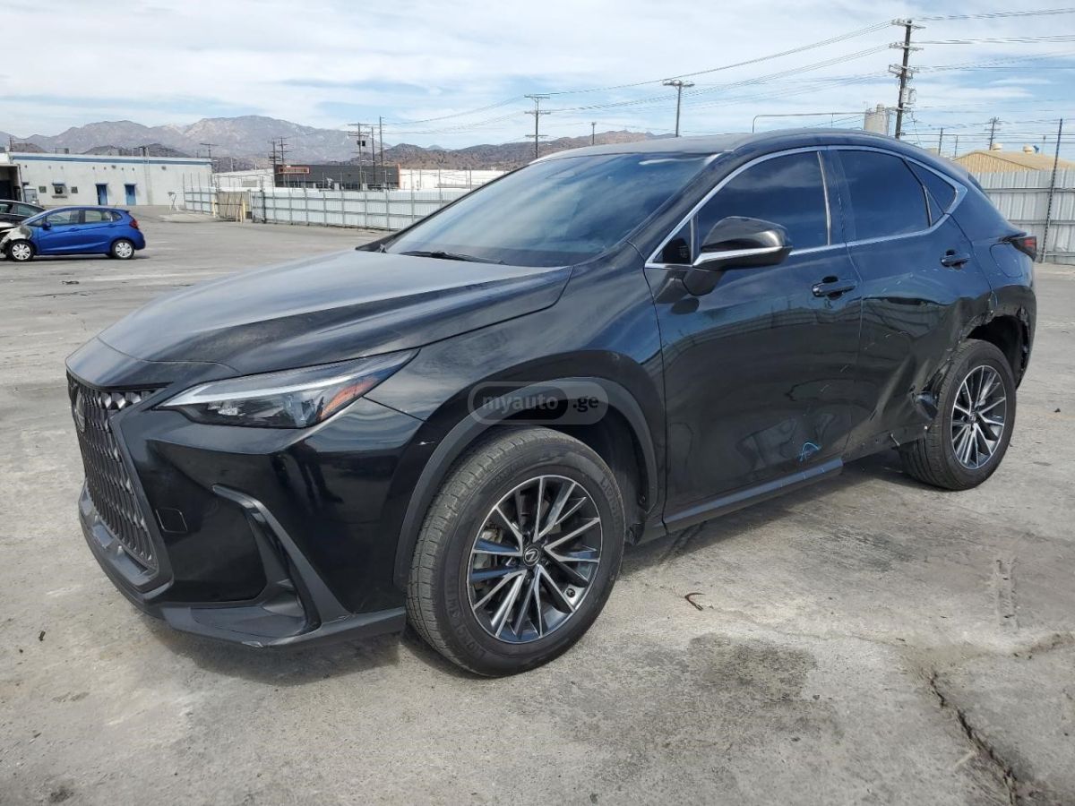 Lexus NX 350 2023 — photo 2
