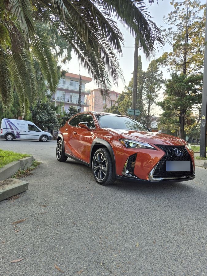 Lexus UX 250 h 2018 — photo 2