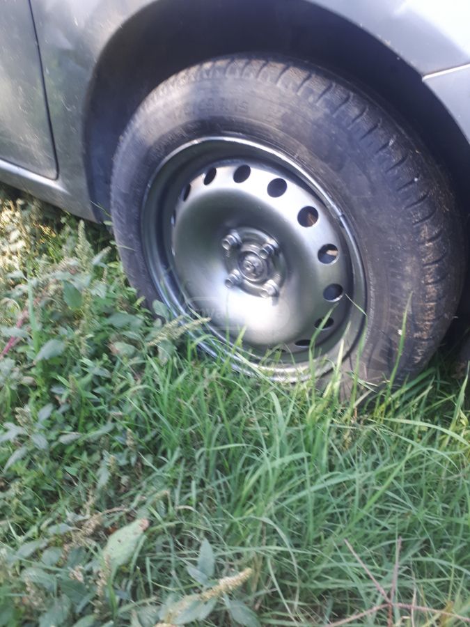 Fiat Punto 2010 — photo 2