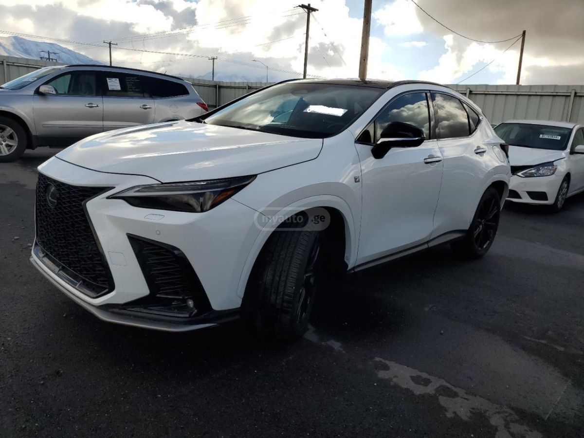 Lexus NX 350 2024 — photo 2