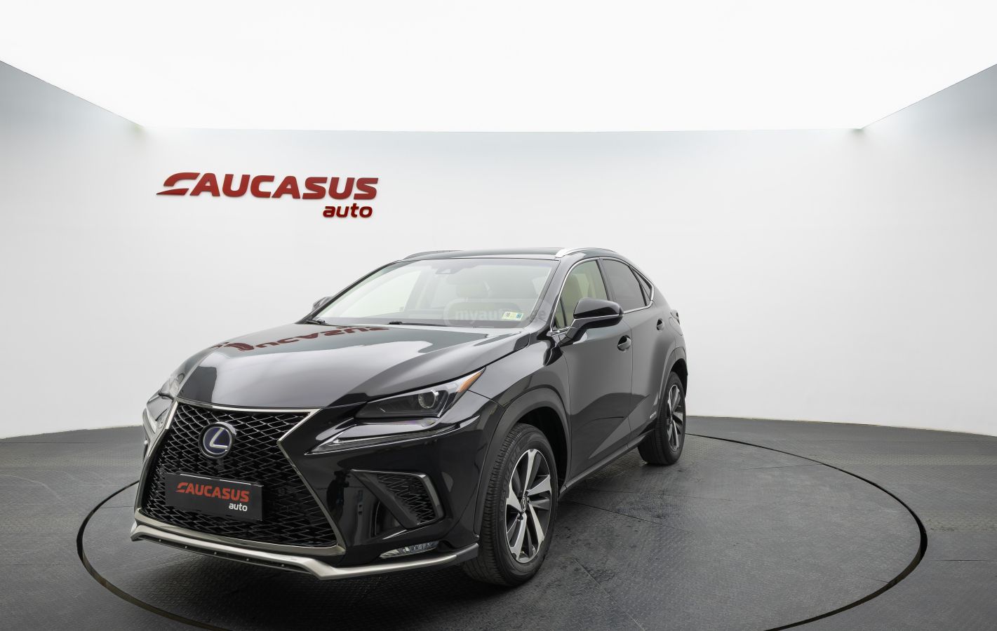 Lexus NX 300