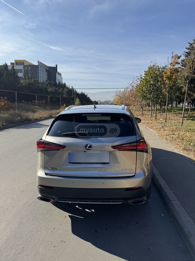 Lexus NX 300 2019 — photo 2