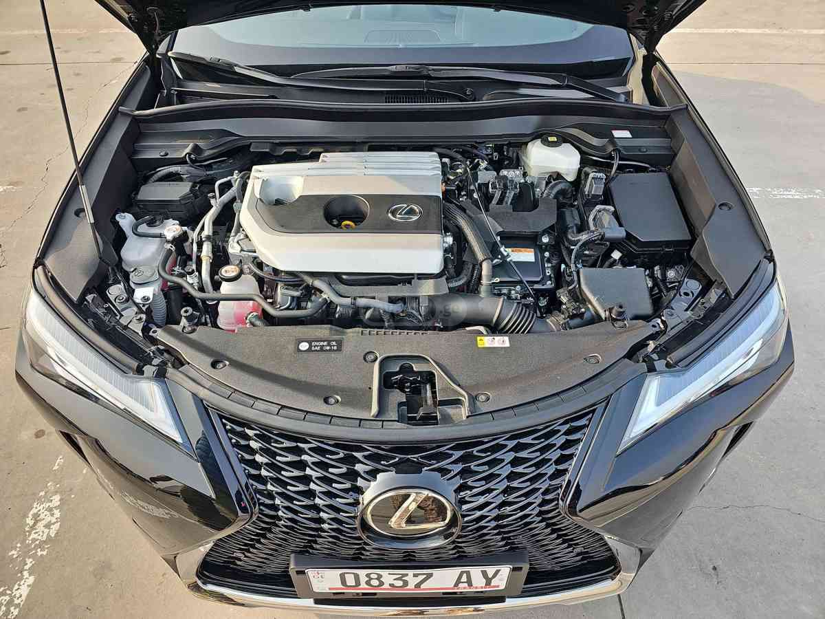 Lexus UX 250 h 2023 — photo 2