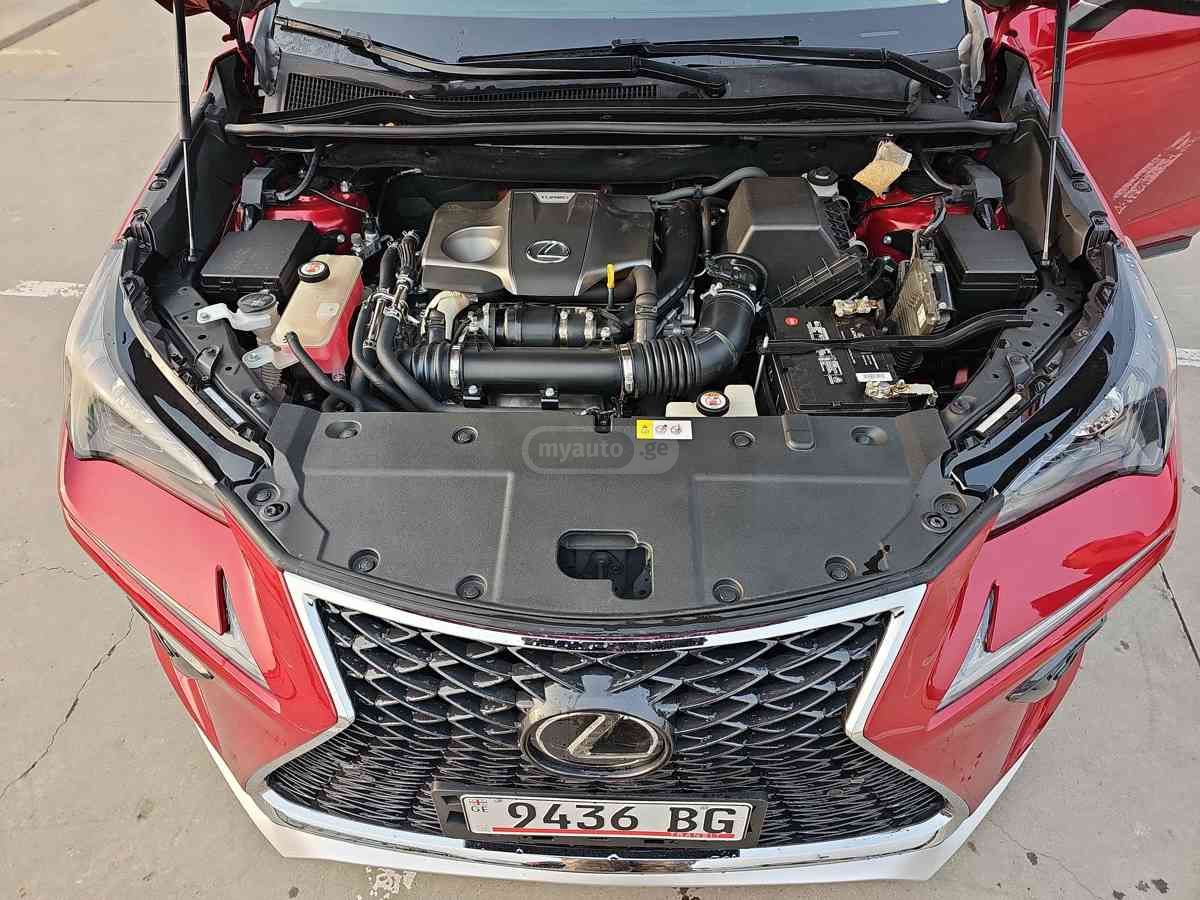 Lexus NX 300 2018 — photo 2