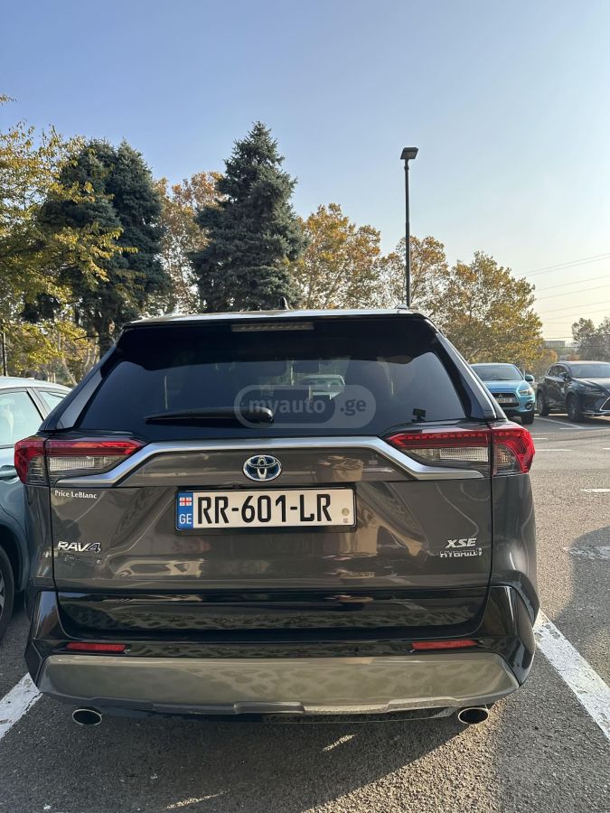 Toyota RAV4 2019 — photo 2