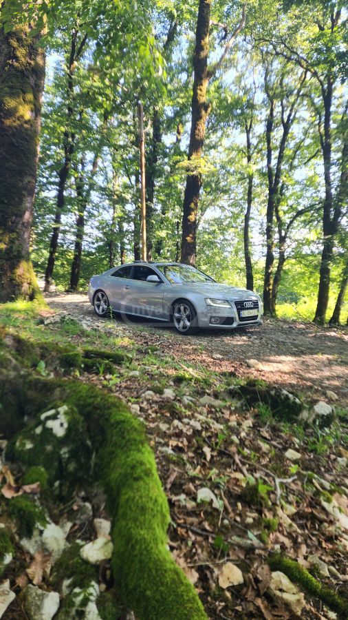 Audi A5 2009 — photo 2