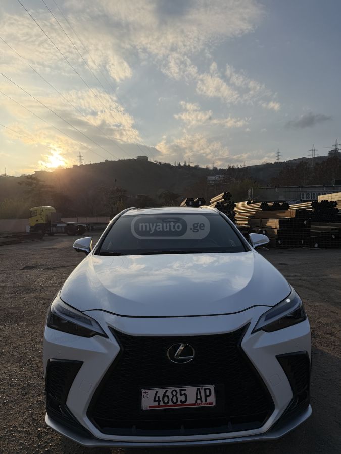 Lexus NX 300
