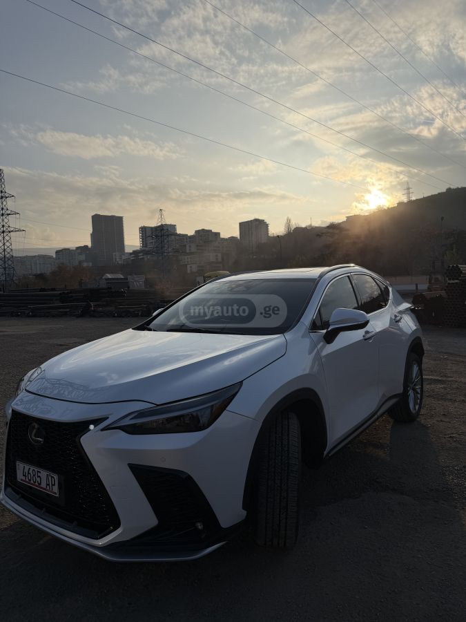Lexus NX 300 2024 — photo 2