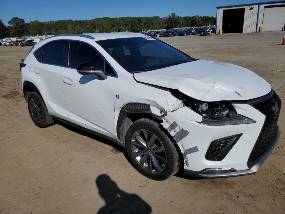 Lexus NX 300 2019 — photo 2
