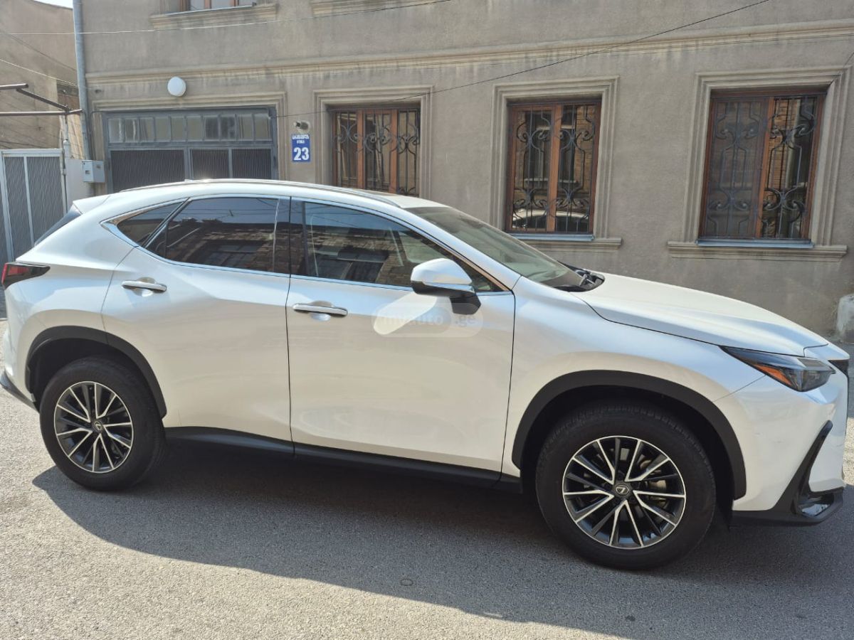 Lexus NX 350 2023 — photo 2