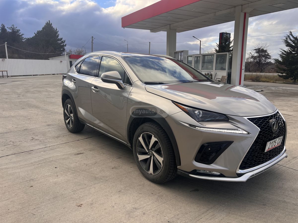 Lexus NX 300 2021 — photo 2