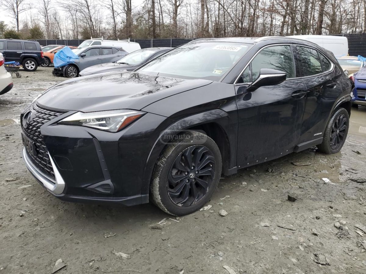 Lexus UX 250 h 2022 — photo 2
