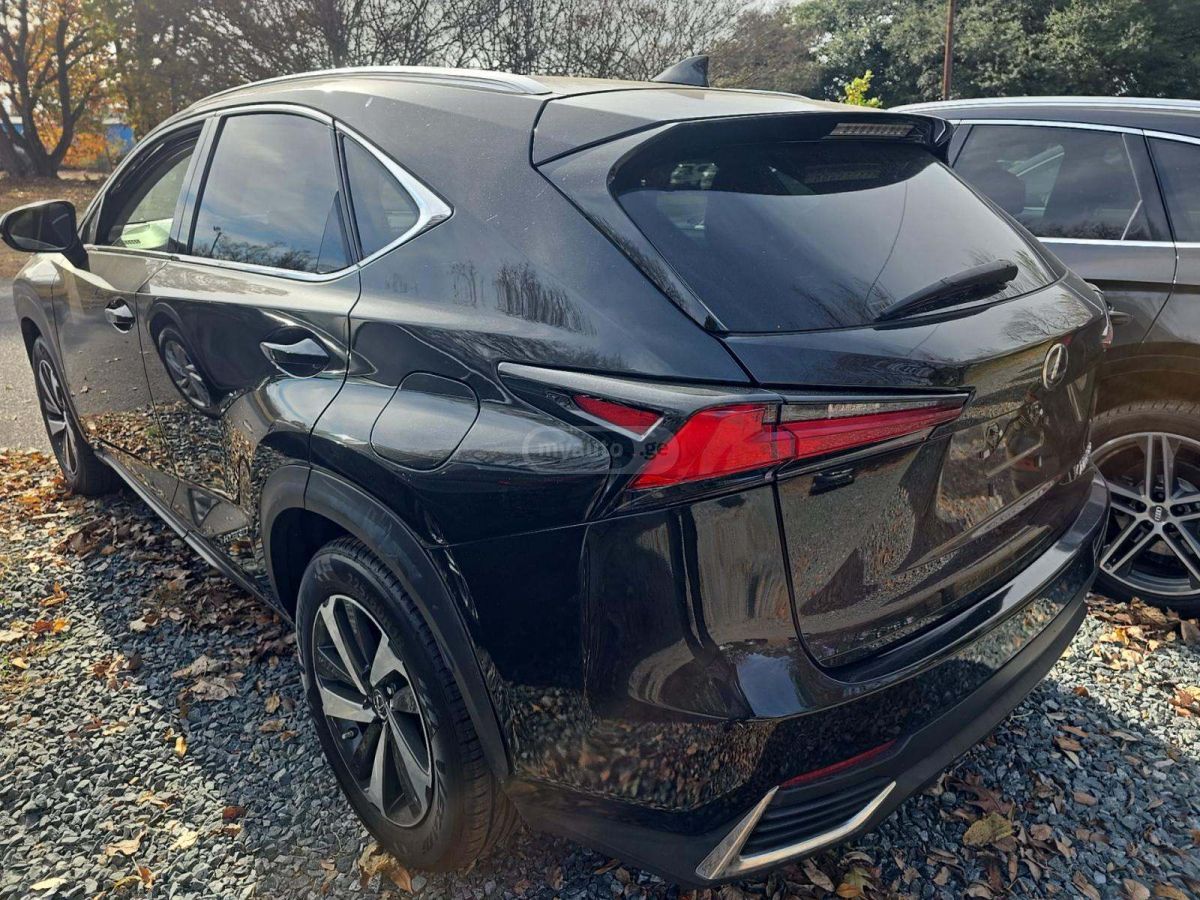 Lexus NX 300 2020 — photo 2