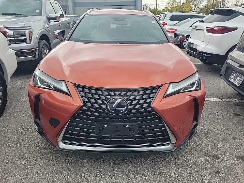 Lexus UX 250 h 2019 — photo 2