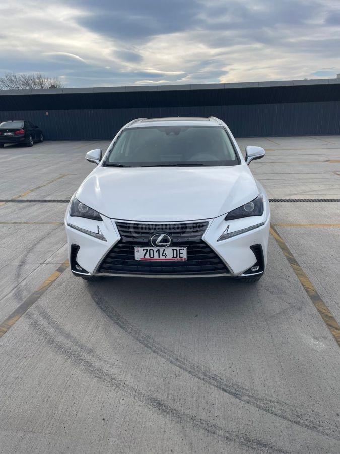 Lexus NX 300 2021 — photo 2