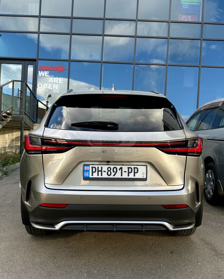 Lexus NX 350 2024 — photo 2