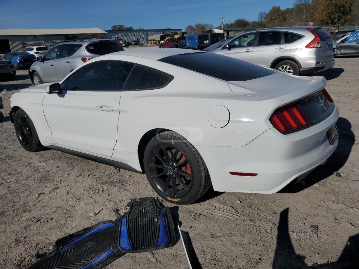 Ford Mustang 2015 — photo 2