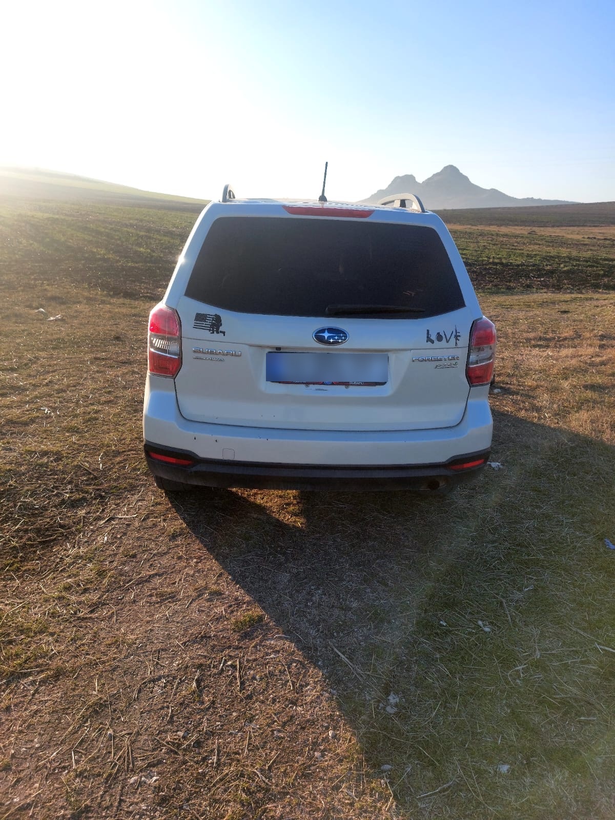 Subaru Forester 2014 — photo 2