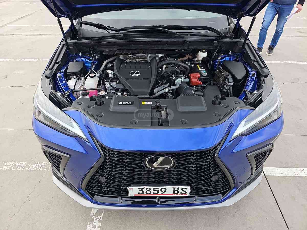 Lexus NX 350 2024 — photo 2