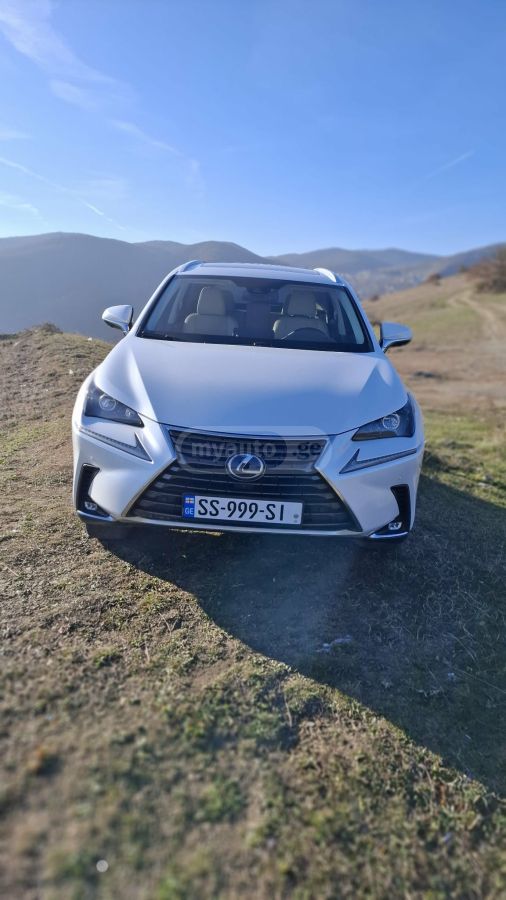 Lexus NX 300 2021 — photo 2