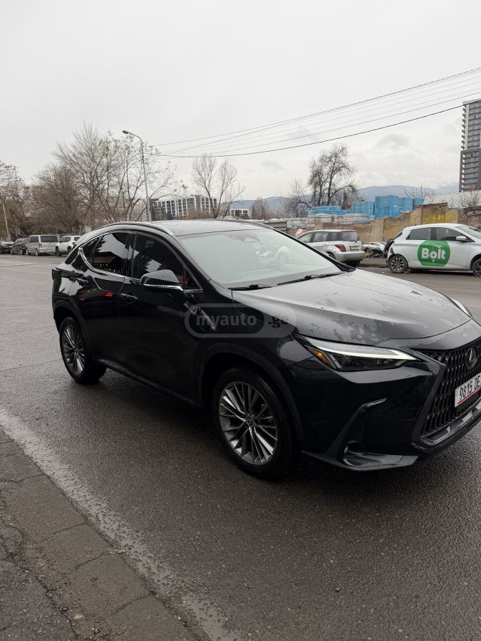 Lexus NX 350 2023 — photo 2