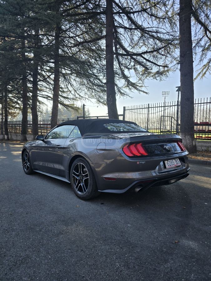 Ford Mustang 2021 — photo 2